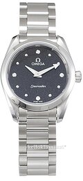 Omega Seamaster Aqua Terra 150M 220.10.28.60.51.001