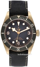 Tudor Black Bay M79250BA-0001