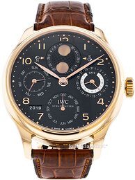 IWC Portuguese IW502119